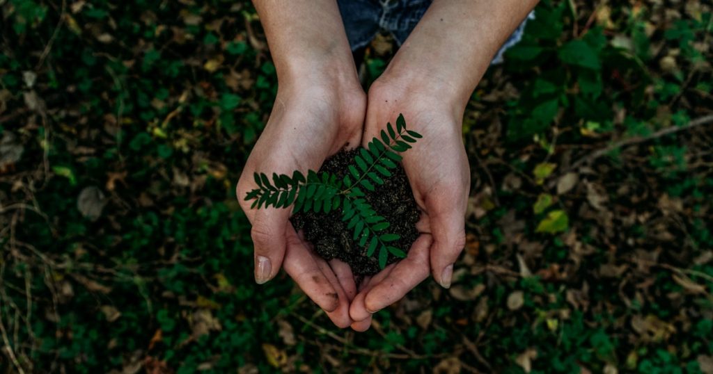 Sustainability in Retail: Going Paperless with Digital Receipts
